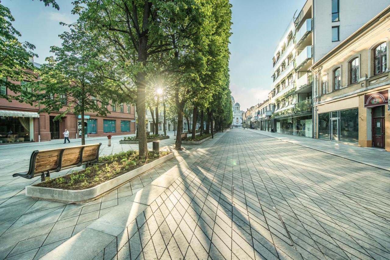 River City Apartments Kaunas Buitenkant foto